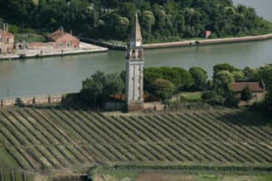Si resta nella Venezia Nativa ma da Venissa, tenuta recuperata da Bisol a Mazzorbo Burano, ci si sposta nella Laguna più misteriosa: dopo Venissa, bianco dei Dogi, da un vigneto piantato dagli Armeni nelle isole Costanziaca e Ammiana rinasce un Rosso