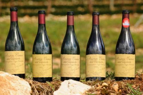 Ecco la verticale dei 50 Anni della Zenato