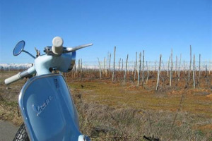 L’ENO-APPASSIONATO QUEST’ANNO SI SPOSTA SU DUE RUOTE: DAL 4 LUGLIO AL 6 AGOSTO , 1500 KM IN SELLA ALLA MITICA VESPA IN 34 TAPPE E 100 CANTINE SULLE ROTTE TRACCIATE DA BACCO TRA I VIGNETI E LE CITTÀ DEL VINO DI UNA DELLE REGIONI PIÙ BELLE D’ITALIA