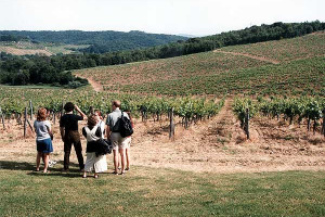 A PASQUA LA “RESURREZIONE” DEL VINO QUOTIDIANO: ANCHE AI PIÙ “VIZIATI” IN FATTO DI ETICHETTE, WINENEWS CONSIGLIA LA RISCOPERTA DEL VINO “IMMEDIATO”, MA DI QUALITÀ E OTTENUTO DAI VITIGNI DI ANTICA COLTIVAZIONE PIÙ INSOLITI, CHE AFFOLLANO L’ITALIA