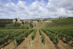 IL CHIANTI CLASSICO, UN VINO E UN TERRITORIO UNICI AL MONDO, SI CONFERMA LA META PREFERITA DELL&rsquo;ENOTURISTA: LO RIVELA UN SONDAGGIO A CURA DI WINENEWS/VINITALY CHE VEDE AL SECONDO POSTO LA SICILIA E AL TERZO LE LANGHE