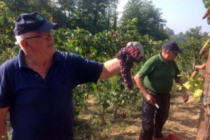 In tempo di raccolta delle uve, la &ldquo;vendemmia delle vendemmie&rdquo; che riconduce al rapporto spirituale tra uomo e natura e alla simbologia della vite e del vino, ha per sfondo la vigna dedicata a Papa Francesco nel Piemonte delle origini dei Bergoglio