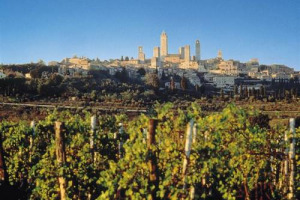 PANIZZI, PRESIDENTE CONSORZIO DI SAN GIMIGNANO: “NIENTE IRREGOLARITA’ PER VERNACCIA ... MEDIA NON INVENTATEVI NEWS”. NEL PAESE DELLE TORRI, A ESSERE SOTTO INCHIESTA SOLO UNA CANTINA PER UTILIZZO DI “CHIPS” PER ROSSO ATTO A DIVENIRE SAN GIMIGNANO DOC