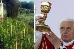 TRA QUALCHE ANNO ANCHE IL PAPA POTR&Agrave; BRINDARE CON IL SUO VINO A &ldquo;KM 0&rdquo;. BASTER&Agrave; AVERE PAZIENZA E ASPETTARE CHE I FILARI DI TREBBIANO E CESANESE DI AFFILE (FOTO), REGALATI DA COLDIRETTI ALLA FATTORIA DEL SANTO PADRE A CASTEL GANDOLFO