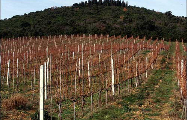 Italia