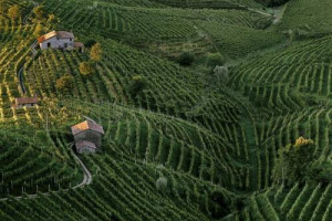 LE COLLINE DI CONEGLIANO - VALDOBBIADENE PATRIMONIO MONDIALE DELL&rsquo;UMANIT&Agrave;? L&rsquo;AREA &Egrave; INSERITA NELLA TENTATIVE LIST ITALIANA DEI SITI CANDIDATI ...
