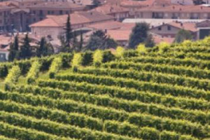 La strategia di cessione della divisione vino del Gruppo Campari ha mosso il primo passo concreto: siglato un accordo per la vendita del 100% della cantina piemontese Enrico Serafino a Krause Holdings Inc per 6,1 milioni di euro
