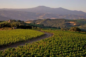 RUMORS - MONTALCINO ANCORA AL CENTRO DI GRANDI INVESTIMENTI AZIENDALI. COLLE MASSARI, L&rsquo;AZIENDA DI ALINGHI, ACQUISISCE POGGIO DI SOTTO UNA DELLE REALT&Agrave; PRODUTTIVE PI&Ugrave; SIGNIFICATIVE NEL TERRITORIO DEL BRUNELLO DI MONTALCINO