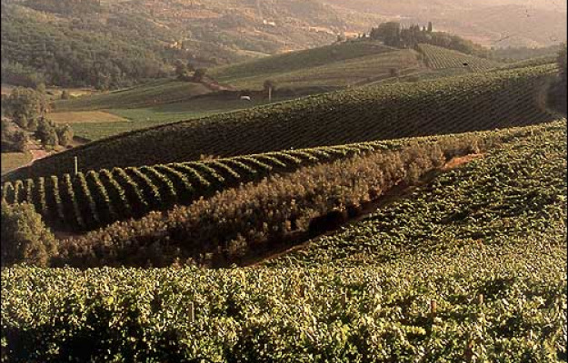 Italia