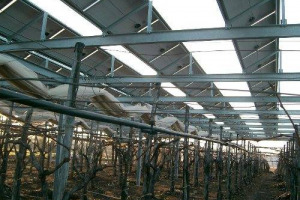 CITTA&rsquo; DEL VINO: SI&rsquo; AL FOTOVOLTAICO, MA SENZA ECCESSI, CI VUOLE UN REGOLAMENTO AD HOC DA INSERIRE NEL &ldquo;PIANO REGOLATORE&rdquo;, PERCHE&rsquo; GLI IMPIANTI DELLE ENERGIE RINNOVABILI SIANO RISPETTOSI DEL PAESAGGIO, SENZA DETURPARE VIGNETI O COLTURE