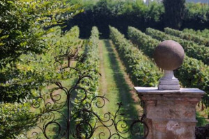 CI SONO VITI DI GRANDI CANTINE, TRA ALBERI SECOLARI, GI&Agrave; ATTIVE NEL &rsquo;700, SUL SENTIERO DI SISSI O APPARTENUTE A NOBILI FIORENTINI COME I MACHIAVELLI: ECCO I VIGNETI-GIARDINO DI &ldquo;GRANDI GIARDINI: GRANDI VINI!&rdquo;, NUOVO TOUR DI &ldquo;GRANDI GIARDINI ITALIANI&rdquo;