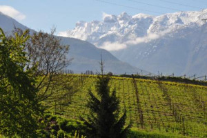 Un &ldquo;identikit olfattivo&rdquo;, i cui tratti sono quasi 2.000 composti aromatici, che legano inscindibilmente il Trentodoc, metodo classico &ldquo;di montagna&rdquo;, al suo territorio. A dirlo una ricerca della Fondazione Mach e Universit&agrave; di Modena e Reggio Emilia