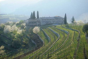 CIA-CONFEDERAZIONE ITALIANA AGRICOLTORI E CONFAGRICOLTURA AL GOVERNO: “MASSIMA CHIAREZZA SUL GETTITO DELL’IMU AGRICOLA. PRONTI AD AZIONI LEGALI SE L’EXTRAGETTITO NON SARÀ RESTITUITO COME PROMESSO. DI TEMPO PER LE VERIFICHE NE È PASSATO ABBASTANZA”