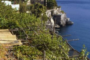 UVE E VINI DI MARE E DI COSTA, PER NETTARI FRESCHI E DOLCI DA BERE IN BARCA O SOTTO L’OMBRELLONE. DAI PASSITI SICILIANI AL VERMENTINO LIGURE, SARDO E TOSCANO, DALLA MALVASIA DELLE EOLIE AL GRECO E ALLA FALANGHINA DI CAPRI