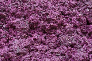 Adesso &egrave; possibile riutilizzare gli scarti del vino per produrre biocarburante. A dirlo una ricerca dell&rsquo;universit&agrave; di Adelaide, che ha dimostrato come dalla fermentazione di una tonnellata di scarti si possono ottenere fino a 400 litri di bioetanolo