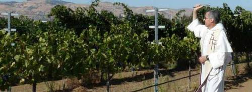 Benedizione delle vigne ad Oakland
