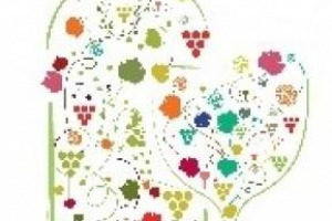 Vino biologico italiano, una storia di successo: volano le vendite (275 milioni, +34% sul 2015) vola l&rsquo;export (192 milioni, +40% su 2015), e aumentano anche i consumi interni ed esteri. Un&rsquo;analisi di Wine Monitor Nomisma per il Vino Bio Day