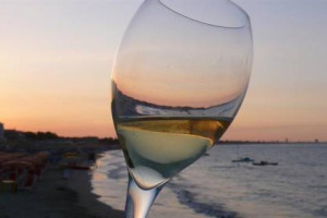 NASCE IL MUSEO MULTIMEDIALE DEL VERMENTINO. E POI DEGUSTAZIONI, PERCORSI ENOGASTRONOMICI, ASSAGGI DI VERMENTINI 2010. ECCO &ldquo;BENVENUTO VERMENTINO&rdquo;, A CASTELNUOVO MAGRA (LA SPEZIA) DAL 20/22 MAGGIO. SINERGIE TRA LIGURIA, TOSCANA, SARDEGNA, CORSICA