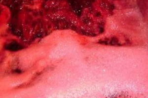 IN FRANCIA ARRIVA &ldquo;L&rsquo;E-COMMERCE&rdquo; DELLO SFUSO: ON LINE LE OFFERTE MONITORABILI DAGLI ACQUIRENTI, PER UN&rsquo;&ldquo;OPERAZIONE TRASPARENZA&rdquo; E PER LA PROMOZIONE DI UNA VOCE IMPORTANTE, MA UN PO&rsquo; &ldquo;TABU&rdquo;, DEL MERCATO ENOICO