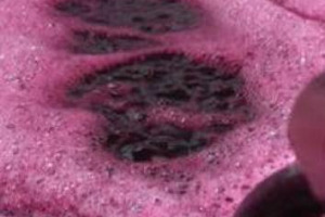 Cantina Italia, al giro di boa del 2021 giacenze a 45,4 milioni di ettolitri di vino