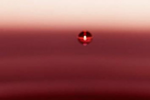 &ldquo;Global Market Report&rdquo; by Ciatti Company: nel Sud del mondo &egrave; gi&agrave; tempo di vendemmia, e sui mercati internazionali crescono ovunque i prezzi degli sfusi. Ruenza Santandrea (Alleanza Cooperative): &ldquo;una dinamica prevista, attesa quanto inevitabile&rdquo;