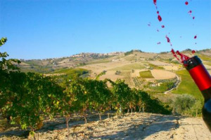 “MISURE ANTI CRISI A FAVORE DELLE IMPRESE AGRICOLE”: LO CHIEDE CONFAGRICOLTURA, LA PIU’ IMPORTANTE ORGANIZZAZIONE DI IMPRESE. “LA CRISI FINANZIARIA COLPISCE L’AGRICOLTURA: LE BANCHE INASPRISCONO CONDIZIONI E RESTRINGONO ACCESSO AL CREDITO”