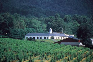 L’ITALIAN WINE STYLE METTE D’ACCORDO LA VECCHIA INGHILTERRA E IL NUOVO MONDO: LA REGINA ELISABETTA E IL GOVERNATORE DELLO STATO DELLA VIRGINIA BRINDANO AI PRIMI COLONI INGLESI SBARCATI IN AMERICA NEL 1607 L’ITALIAN WINE STYLE METTE D’ACCORDO LA VECCHIA INGHILTERRA E IL NUOVO MONDO: LA REGINA ELISABETTA E IL GOVERNATORE DELLO STATO DELLA VIRGINIA BRINDANO AI PRIMI COLONI INGLESI SBARCATI IN AMERICA NEL 1607