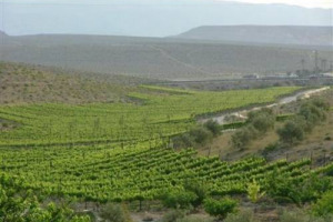 “ISRAELE-ITALIA, TECNOLOGIE E INNOVAZIONI AGRICOLE”: IERI, A ROMA, IN CONFAGRICOLTURA, LANCIATA PARTNERSHIP CON ISRAELE PER SVILUPPARE LE POTENZIALITÀ DELL’AGRICOLTURA NON SOLO COME FONTE DI NUTRIMENTO, MA COME MOTORE ECONOMICO DEL BEL PAESE