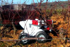IL ROBOT NEL VIGNETO: PESA 20 CHILI, &Egrave; ALTO 50 CENTIMETRI E LARGO 60, SI CHIAMA V.I.N (&ldquo;VITICULTURE INTELLIGENTE ET NATURELLE&rdquo;), ED &Egrave; L&rsquo;ULTIMA INVENZIONE DI WALL-YE. IN GRADO, DICONO, DI POTARE, LEGARE LE VITI E RIPULIRLE DA GEMME E FOGLIE IN ECCESSO