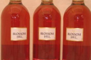 IL PASTICCIO DEL &ldquo;WHITE ZINFANDEL&rdquo;: SEQUESTRATO DALL&rsquo;ICQ QUELLO IMBOTTIGLIATO IN ITALIA DA DIAGEO &ldquo;PERCH&Eacute; LA DICITURA &Egrave; INGANNEVOLE E IL VITIGNO NON ESISTE&rdquo;. MA NEI MERCATI USA E UK &Egrave; PERFETTAMENTE ACCETTATO ED &Egrave; &ldquo;SINONIMO&rdquo; DI &ldquo;ZINFANDEL ROS&Eacute;&rdquo;