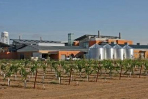 IN USA IL &ldquo;CERN&rdquo; DEL VINO: APRIR&Agrave; PRESTO I BATTENTI UN CENTRO &ldquo;HI-TECH&rdquo; DI RICERCA IN VITIVINICOLTURA DA 15 MILIONI DI DOLLARI. &Egrave; LA CANTINA DEL ROBERT MONDAVI INSTITUTE ALL&rsquo;UNIVERSIT&Agrave; DI DAVIS, IN CALIFORNIA. CHE PRODURR&Agrave; ANCHE ENERGIA ELETTRICA