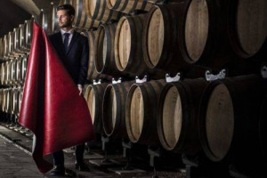 Wineleather, la nuova frontiera del made in Italy. &Egrave; un materiale simile alla pelle, ma 100% vegetale: prodotta con uno speciale trattamento della vinaccia, il tessuto ha gi&agrave; ricevuto il prestigioso premio Global Change di H&M
