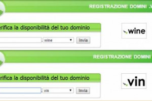 Dopo l&rsquo;accordo di fine giugno tra Icann e organizzazioni dei produttori di vino europei, oggi per i marchi registrati su Trademark Clearinghouse inizia il periodo di prelazione su &ldquo;Donuts&rdquo; per la registrazioni dei domini &ldquo;.wine&rdquo; e &ldquo;.vin&rdquo;