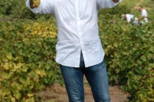 IL PRESIDENTE DEL VENETO ZAIA HA FIRMATO OGGI DUE DECRETI CON I QUALI STABILISCE CHE I VIGNETI DOC PROSECCO NON SUPERERANNO I 20.000 ETTARI (16.500 IN VENETO E 3.500 IN FRIULI) FINO AL 2014. ZAIA: &ldquo;PIANIFICARE PER SOSTENERE ECCELLENZA&rdquo;