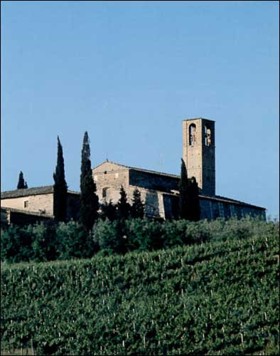 Fattoria Abbazia di Monteoliveto