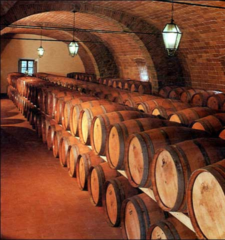La cantina della tenuta del Castello di Albola