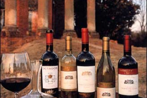 IL MIGLIOR VINO AMERICANO ? E' IL CABERNET SAUVIGNON DELL'ITALIANO ZONIN, PRODOTTO NELLA TENUTA DI BARBOURSVILLE IN VIRGINIA