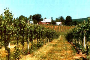 PER IL SUO INSEDIAMENTO, IL 19 GENNAIO, IL PRESIDENTE USA BARAK OBAMA BRINDERÀ CON IL VINO AMERICANO DI GIANNI ZONIN, CHE ARRIVA DALLA TENUTA DI BARBOURSVILLE IN VIRGINIA, NATA DA UN SOGNO DEL PRESIDENTE USA THOMAS JEFFERSON