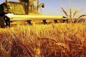 Tagli del 5% alla Pac nel bilancio Ue post 2020