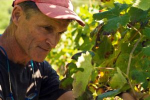 Pi&ugrave; controlli e un&rsquo;attenzione sempre maggiore al rapporto con il terroir: VinNatur alza l&rsquo;asticella