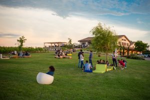 Calice alla mano e voglia di conoscere l&rsquo;Italia del vino, &egrave; tempo di &ldquo;Cantine Aperte&rdquo;
