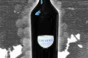 Terre de La Custodia Docg Montefalco Sagrantino Exubera