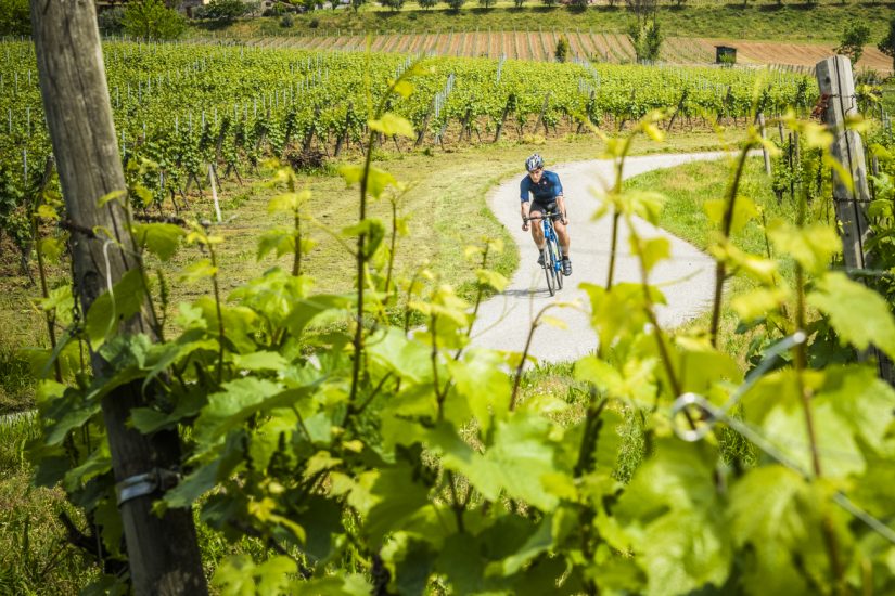 Il Giro d’Italia tra i filari della Franciacorta