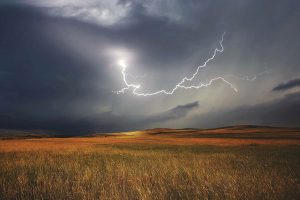 Maltempo, corsa contro il tempo per salvare i raccolti