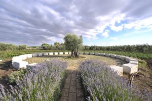 Osteria Antichi Sapori