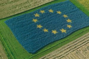 Pac post 2020, l’allarme di Paolo de Castro: “no alla negoziazione diretta tra Esecutivo Ue e Stati”