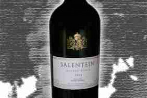 Bodegas Salentein Malbec Roble