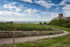 Soave e l&rsquo;Irpinia, la Franciacorta Stage e il Porto Cervo Wine & Food Festival, save the date