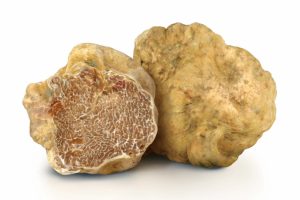 Tartufo delle Crete Senesi di San Giovanni d'Asso