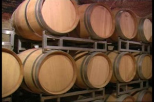 Ancora a tu per tu con Elio Altare. &lsquo;Non &egrave; lo stile a fare la differenza nel vino, ma sono l'uomo e la natura ad avere il ruolo decisivo!. La dicotomia tradizione-innovazione svanisce davanti ad una grande bottiglia...&rsquo;